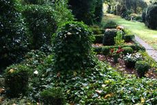 Herbst-Friedhof 017.jpg